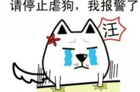 隐形式单身娱乐吃瓜酱