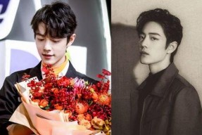 肖肖带你吃瓜娱乐圈,八卦风云，幕后真相大揭秘