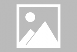 娱乐是个圈吃瓜群众散了