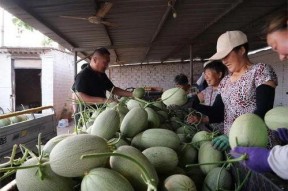 718sx吃瓜娱乐去哪里了